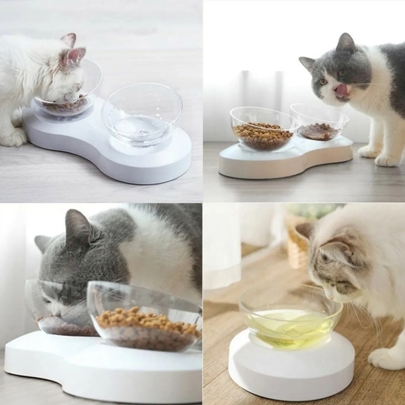 FOREYY Elevated Raised Pet Bowls for Cats & Small Dogs Stand Feeder 20° Tilt - Picture 10 of 10